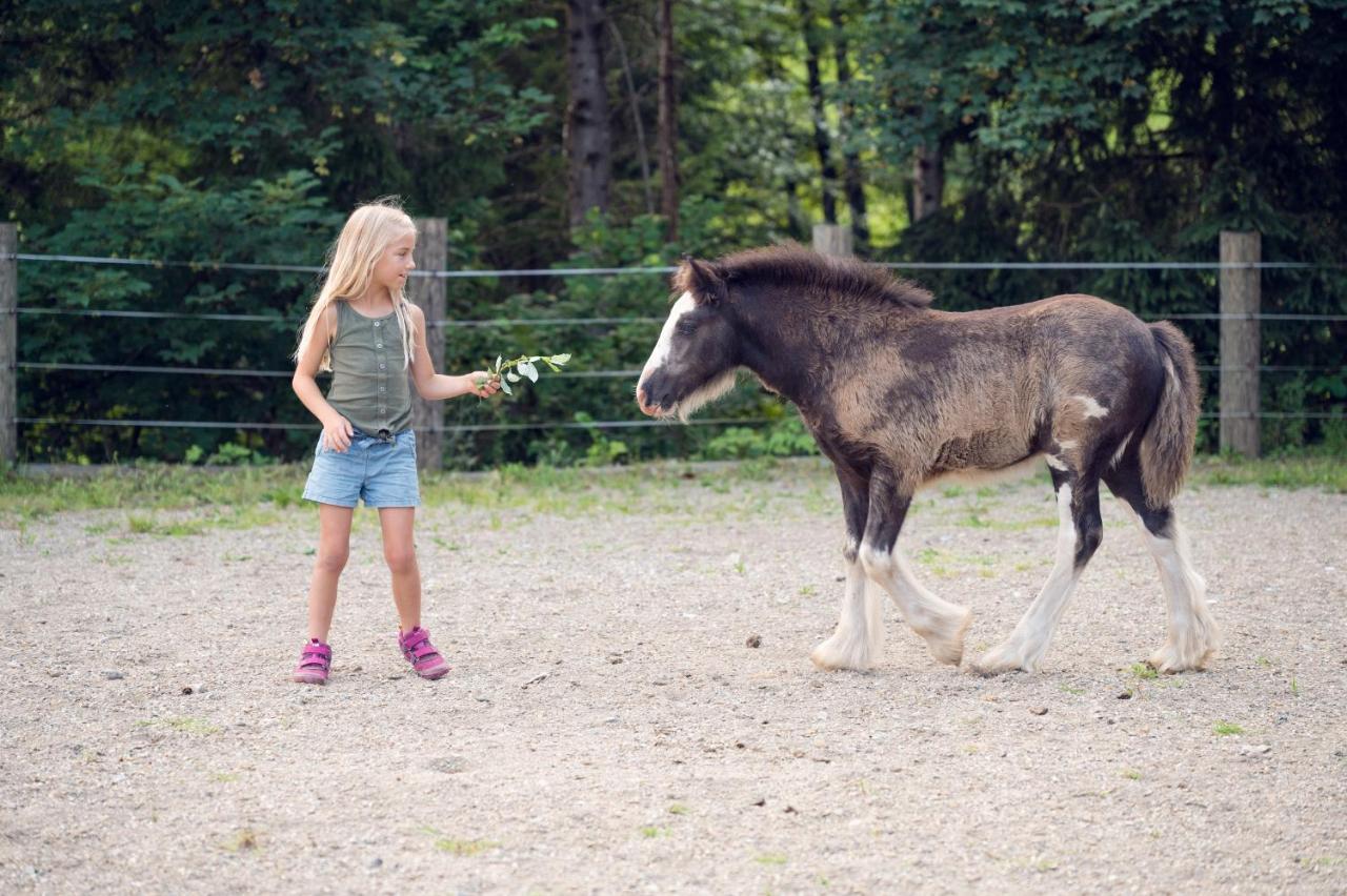 Familienbauernhof Samerhof Pfarrwerfen Eksteriør billede