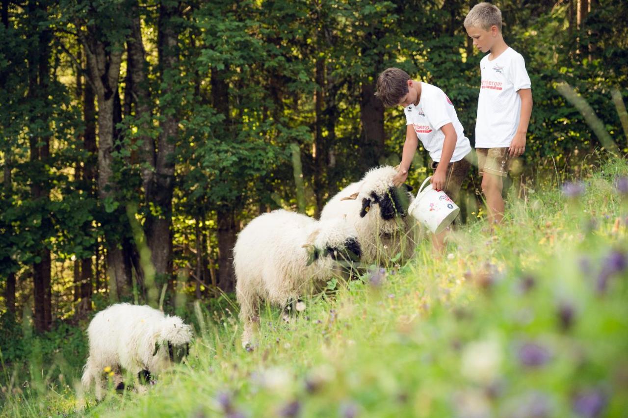 Familienbauernhof Samerhof Pfarrwerfen Eksteriør billede