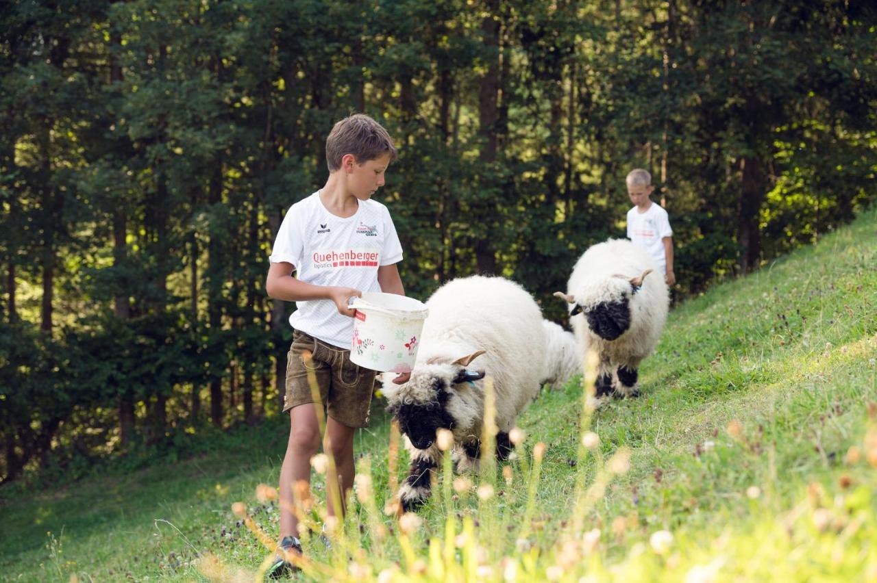 Familienbauernhof Samerhof Pfarrwerfen Eksteriør billede